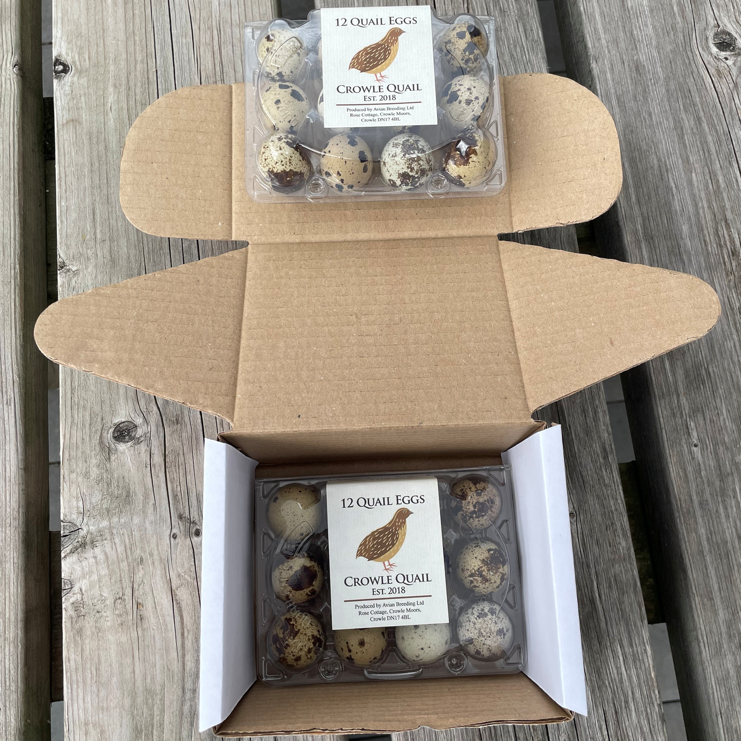 Quail Eggs Box of 2 Dozen (24 Eggs) - Crowle Quail by Avian Breeding Ltd