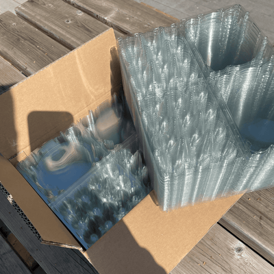 Quail Egg Cartons box of 70 or 840 - Crowle Quail Eggs