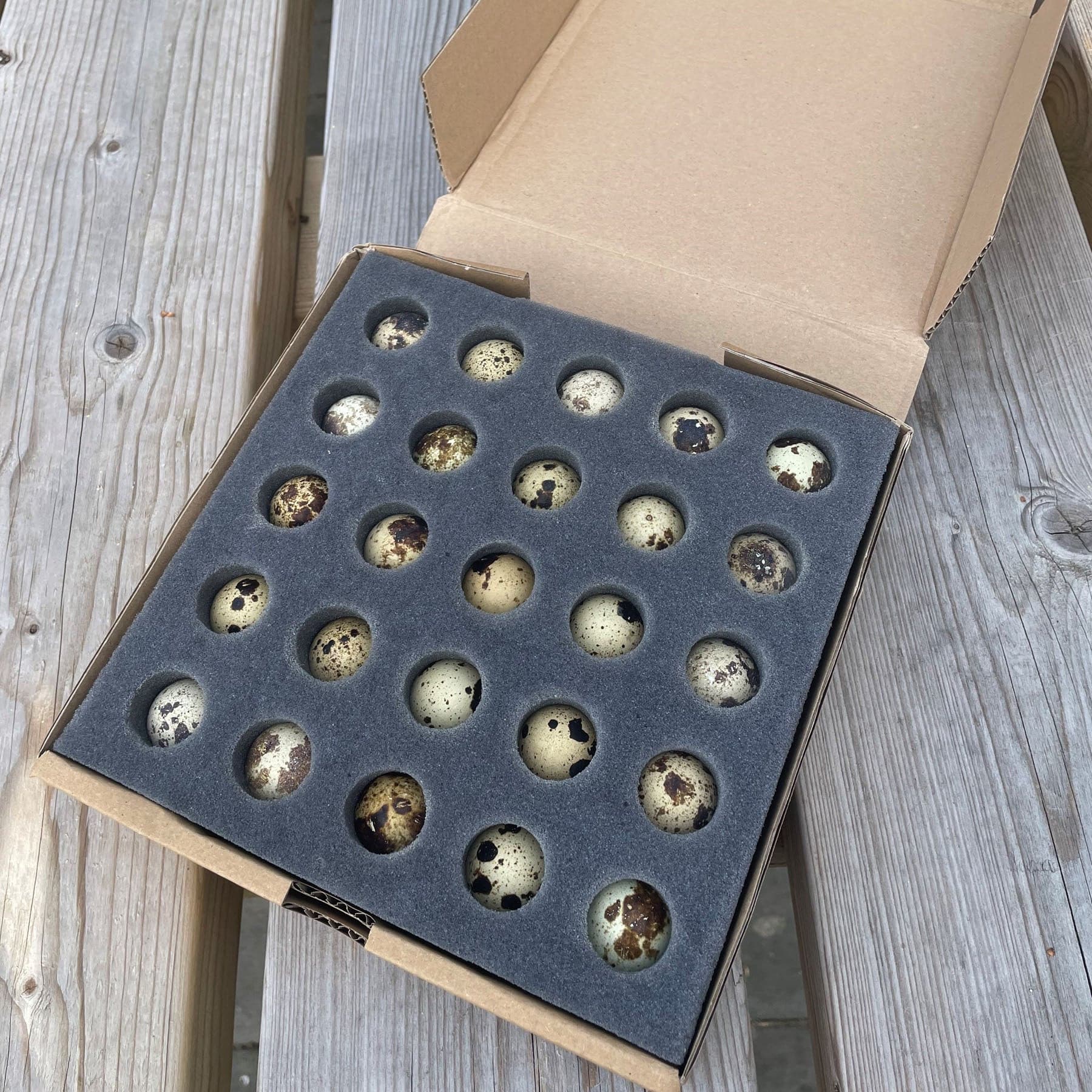 Quail Eggs for Hatching - Box of 25 - Crowle Quail Eggs