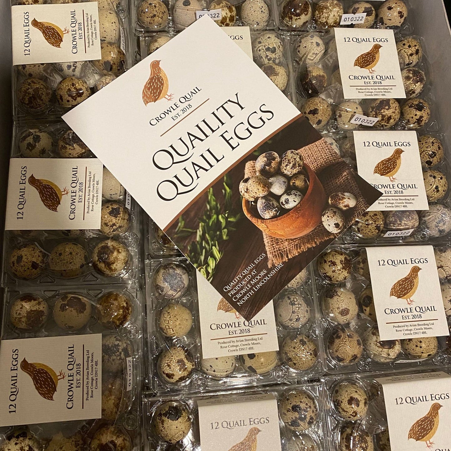 Quail Eggs (Wholesale) - Crowle Quail Eggs