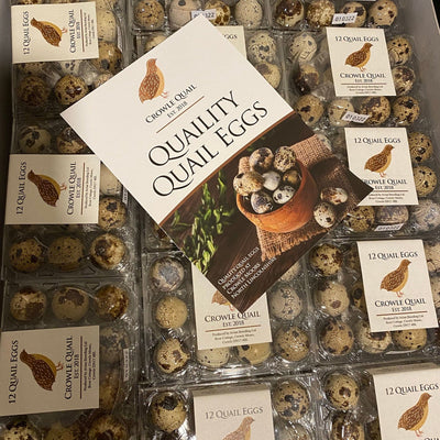 Quail Eggs (Wholesale) - Crowle Quail Eggs