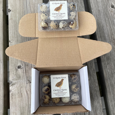 Quail Eggs Box of 2 Dozen (24 Eggs) - Crowle Quail by Avian Breeding Ltd