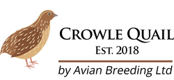 Crowle Quail by Avian Breeding Ltd