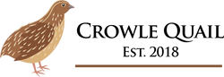 Crowle Quail - High quality fresh quail eggs direct from the farm