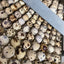 Quail Eggs for Hatching - Wholesale - Crowle Quail Eggs