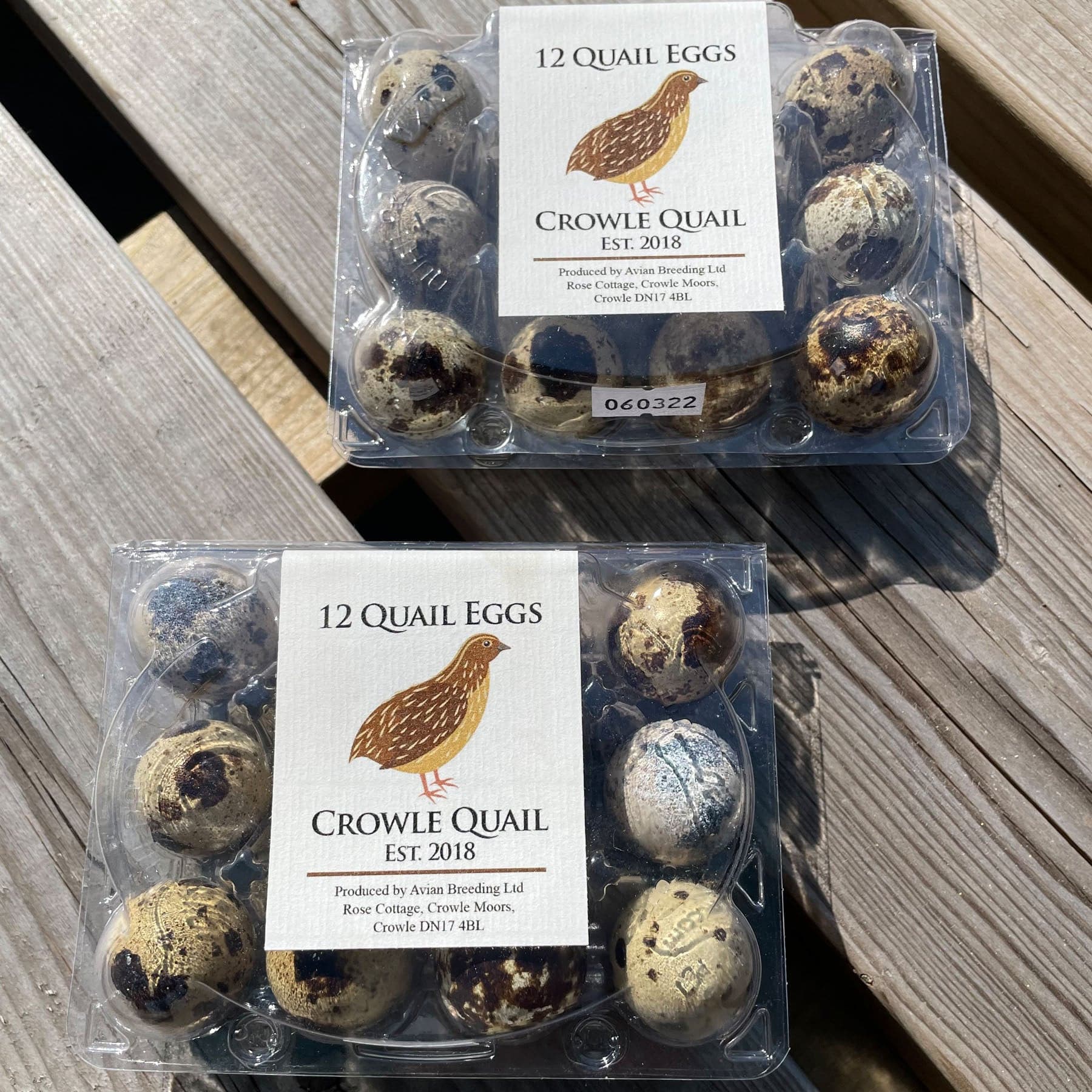 Illustration of Highest Hatch Rate Frozen Thawed Quail Eggs